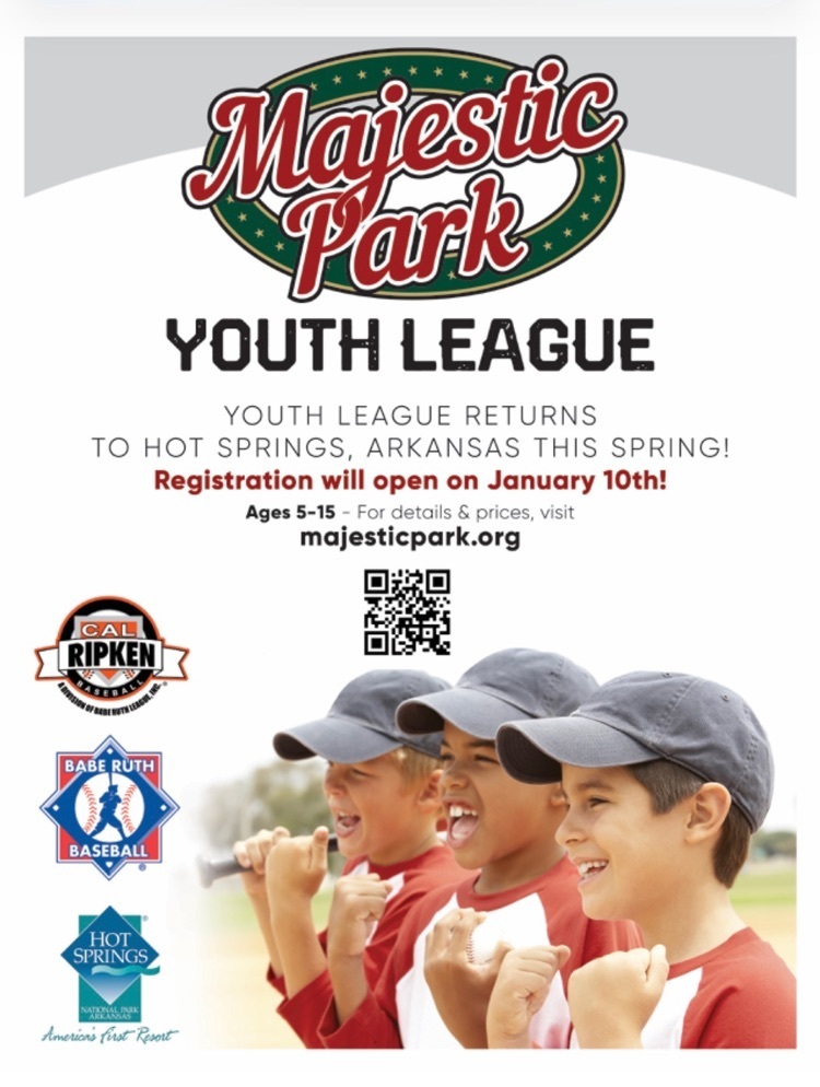 Youth League Baseball