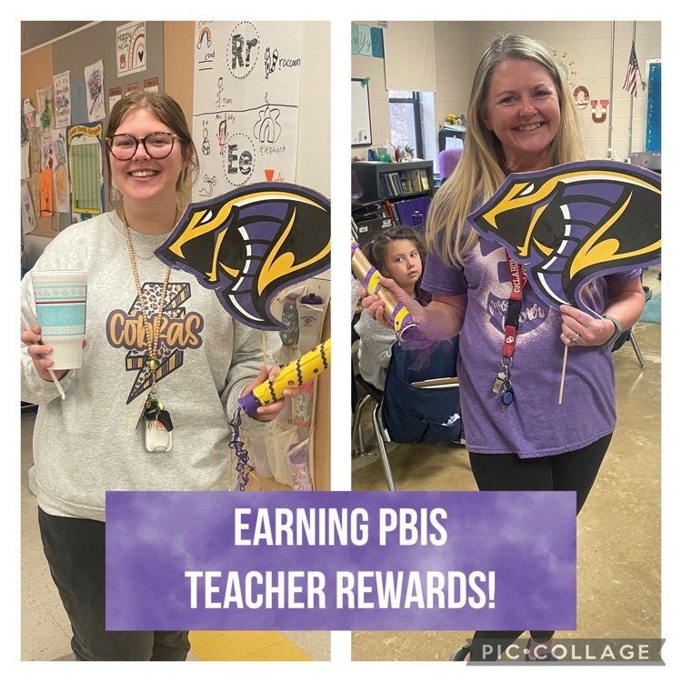 PBIS teacher rewards 